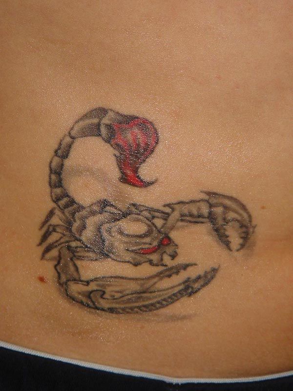 Skorpion