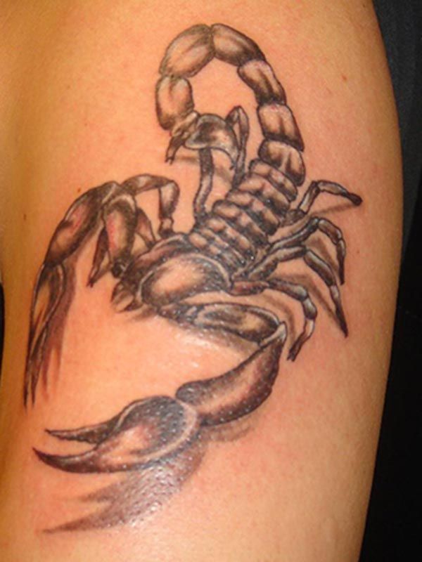Skorpion