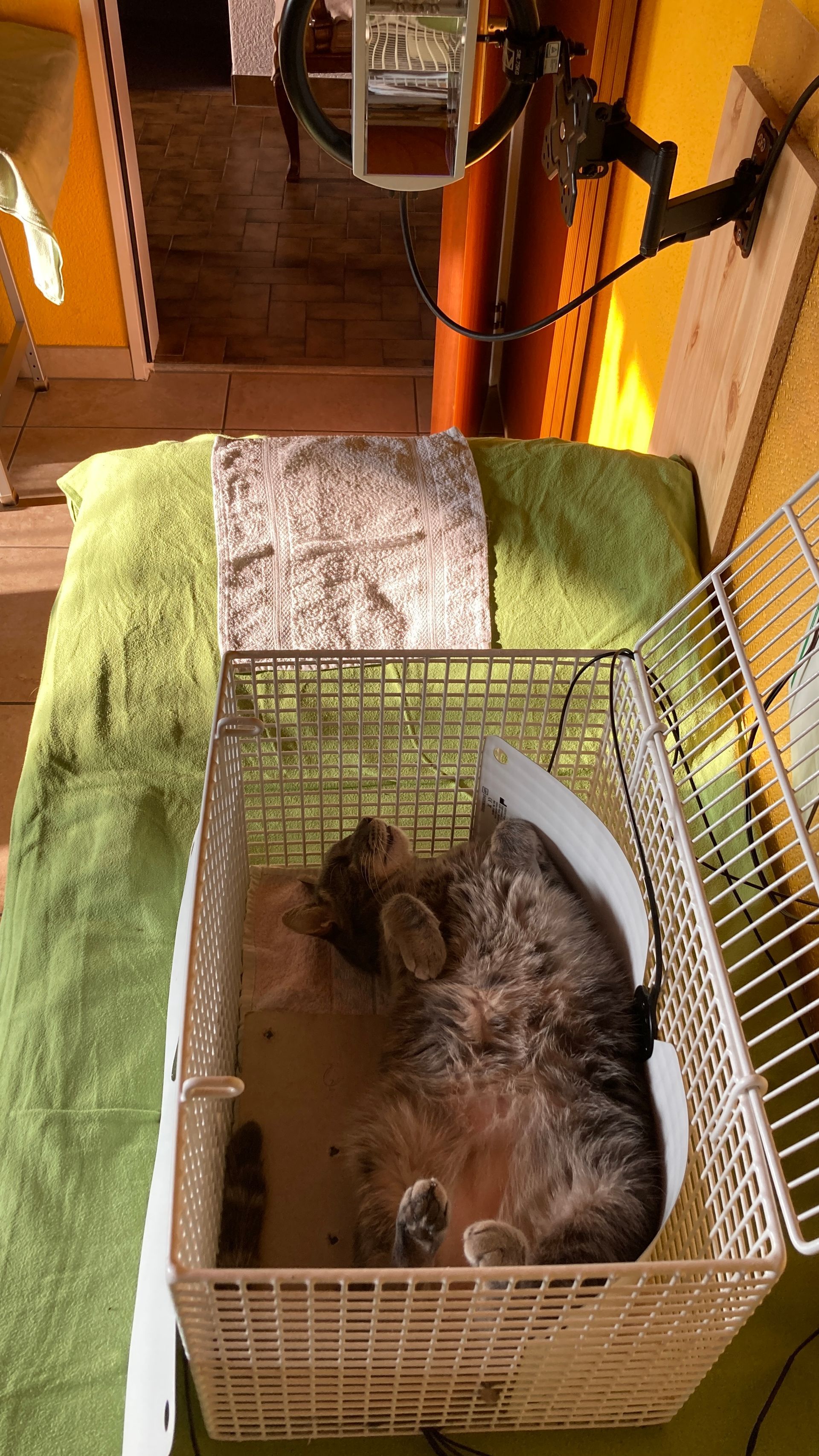 Münger Bioenergetik