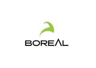 Un logotipo verde y negro para boreal sobre un fondo blanco.