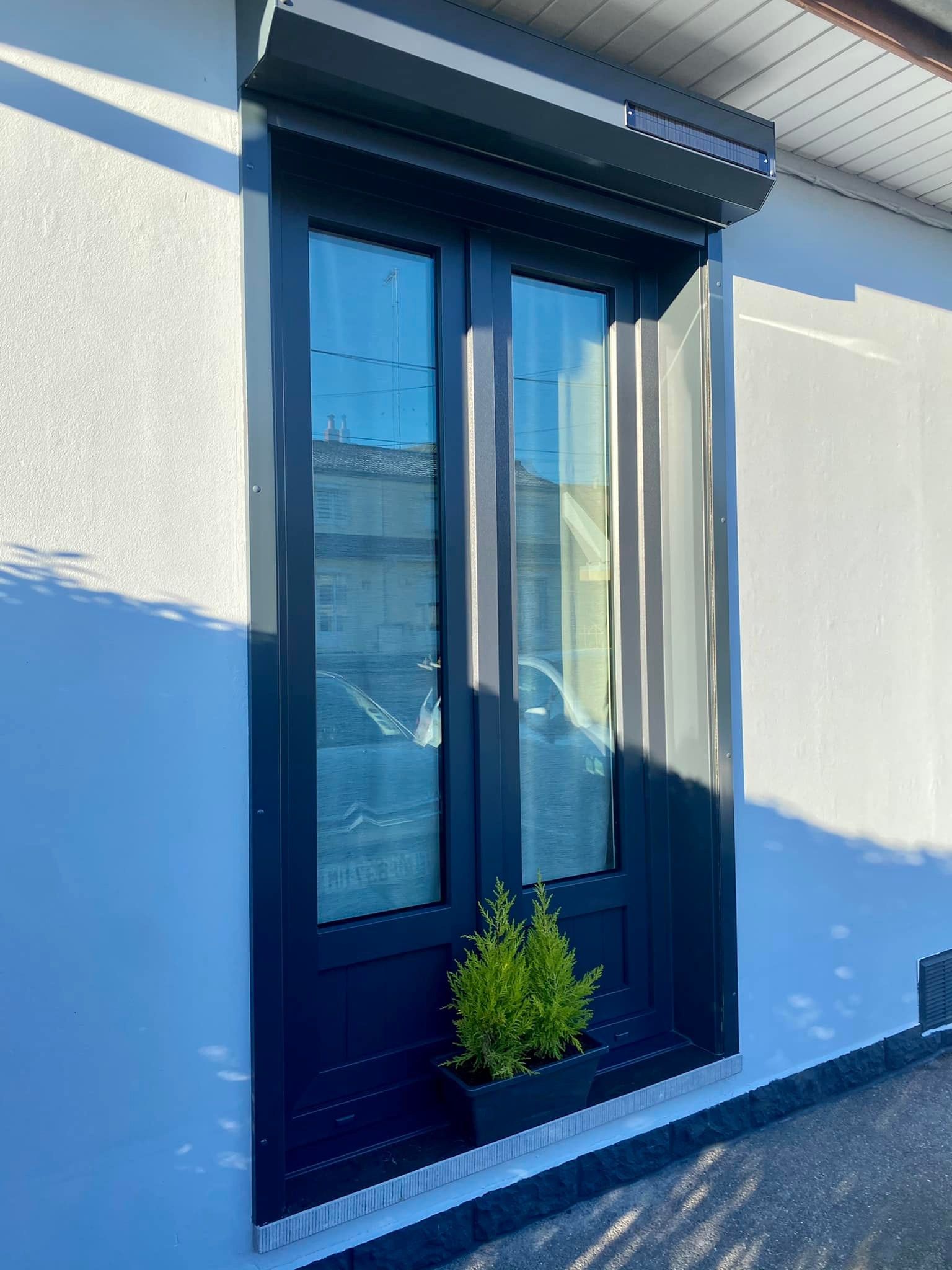 Porte d'entrée bleu foncé avec vitres et un petit arbuste en pot contre un mur extérieur clair.