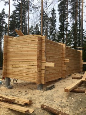 hirsiseinien rakentamista