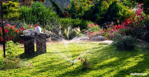 Caraïbe Entretien - Espaces verts et jardins en Martinique 972