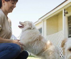 Una mujer acaricia a un perro blanco frente a una casa.