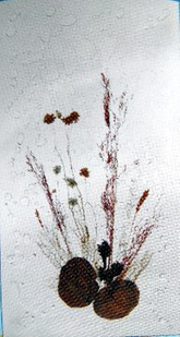 Ein Gemälde von Blumen auf weißem Hintergrund