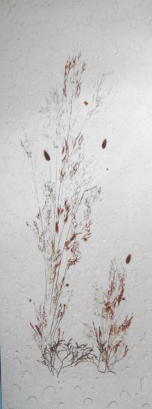 Eine Nahaufnahme der Zeichnung einer Pflanze auf weißem Hintergrund.