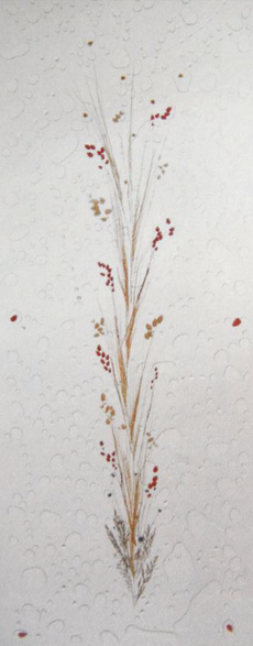 Eine Zeichnung einer Pflanze mit Blüten auf weißem Hintergrund.