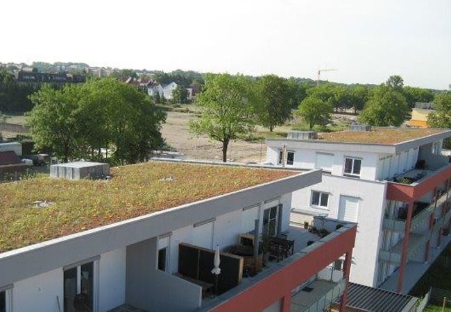 Gründächer auf weißen Wohnhäusern; sonniger Tag, Bäume, Freiflächen.