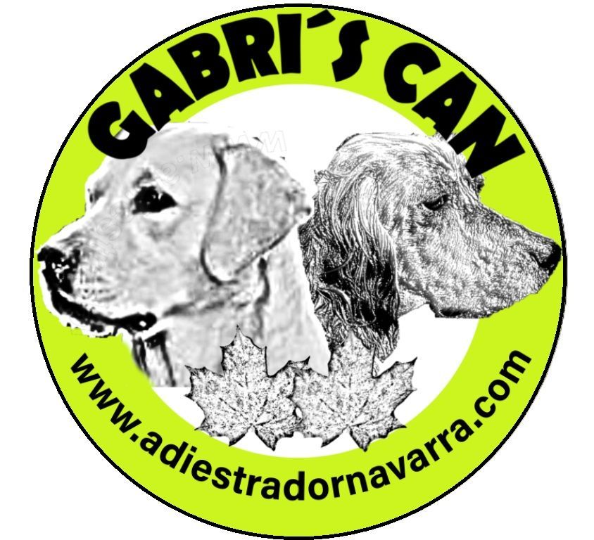 Logotipo de Gabri´s Can - Adiestrador Perros Navarra
