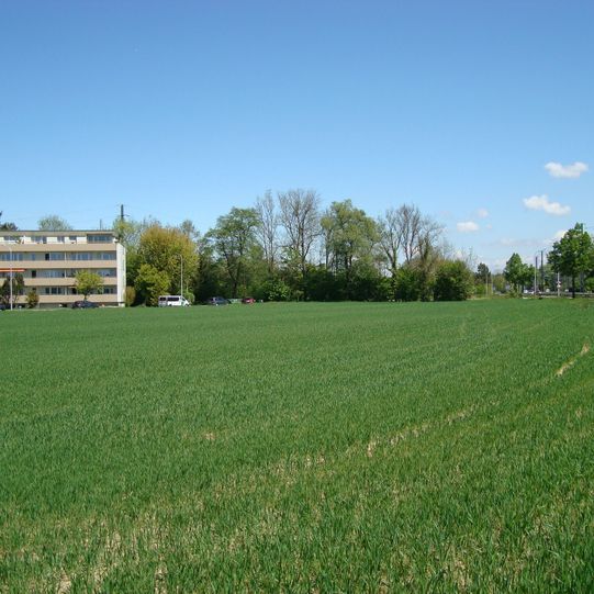 Architekturbüro Büttiker GmbH in Riedholz • Professionelle Gebäudeplanung • Maklerservice