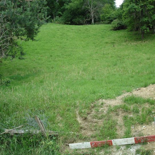 Architekturbüro Büttiker GmbH in Riedholz • Professionelle Gebäudeplanung • Maklerservice