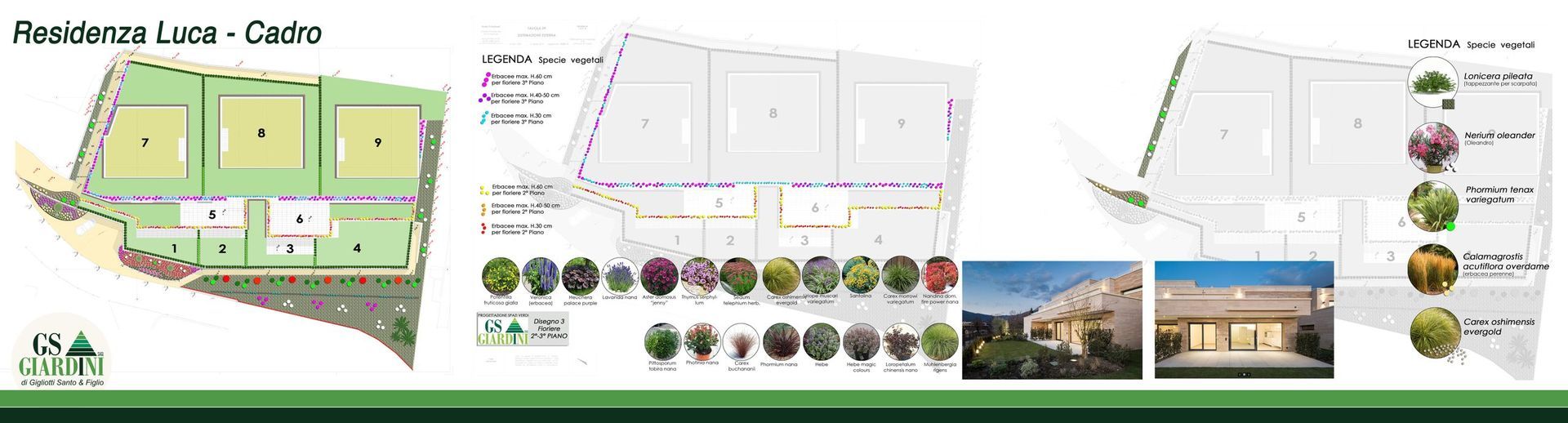 Schizzo progettuale giardino con diverse specie vegetali - GS GIARDINI