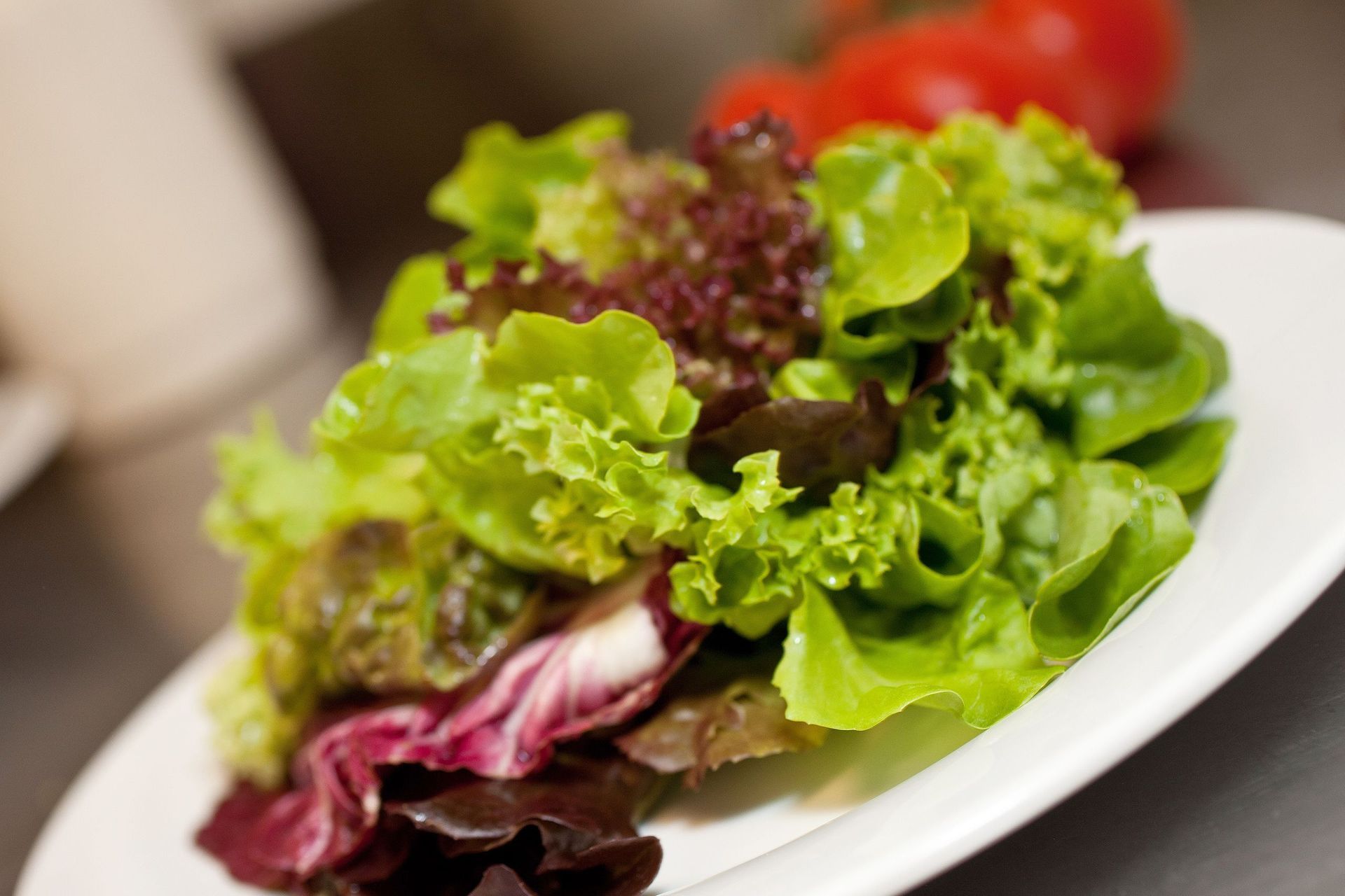 Salat - La Vita in Chur