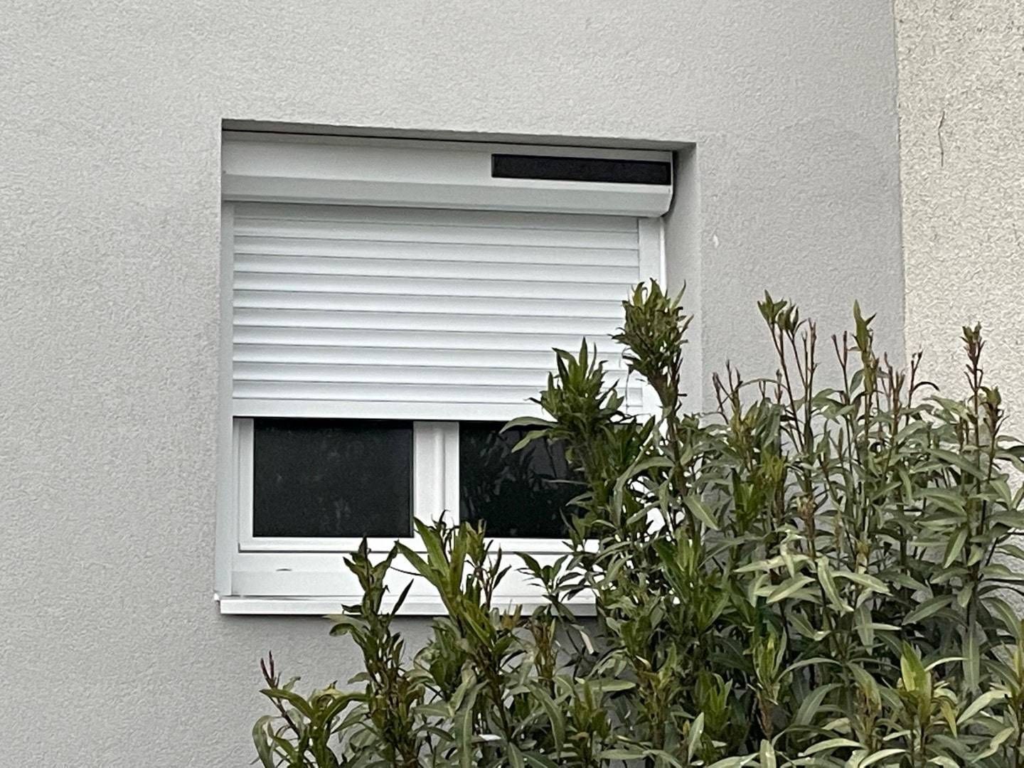 Fenêtre blanche avec volet roulant partiellement abaissé sur un bâtiment gris, obscurci par un feuillage vert.