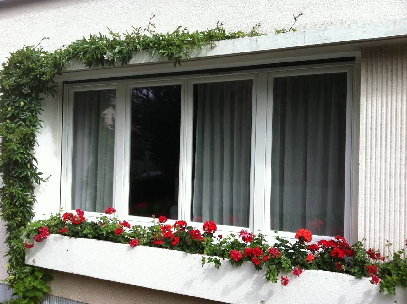 Nouvelles fenêtres posées par des menuisiers