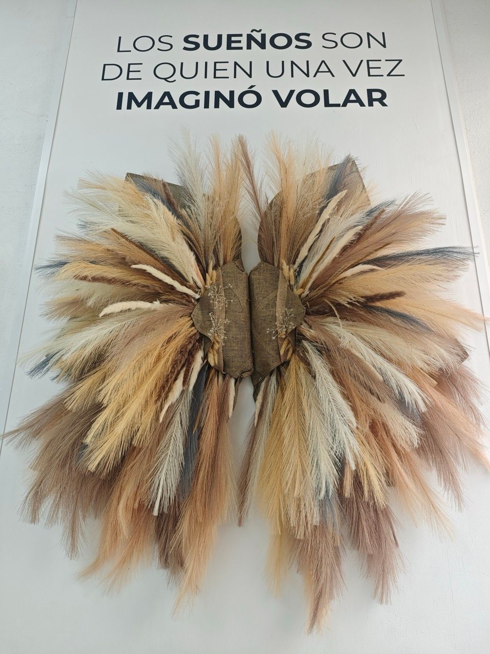 Los sueños son de quien una vez imaginó volar