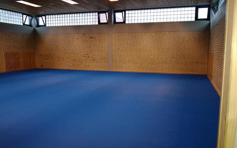 Eine große leere Turnhalle mit blauem Boden und Holzwänden.