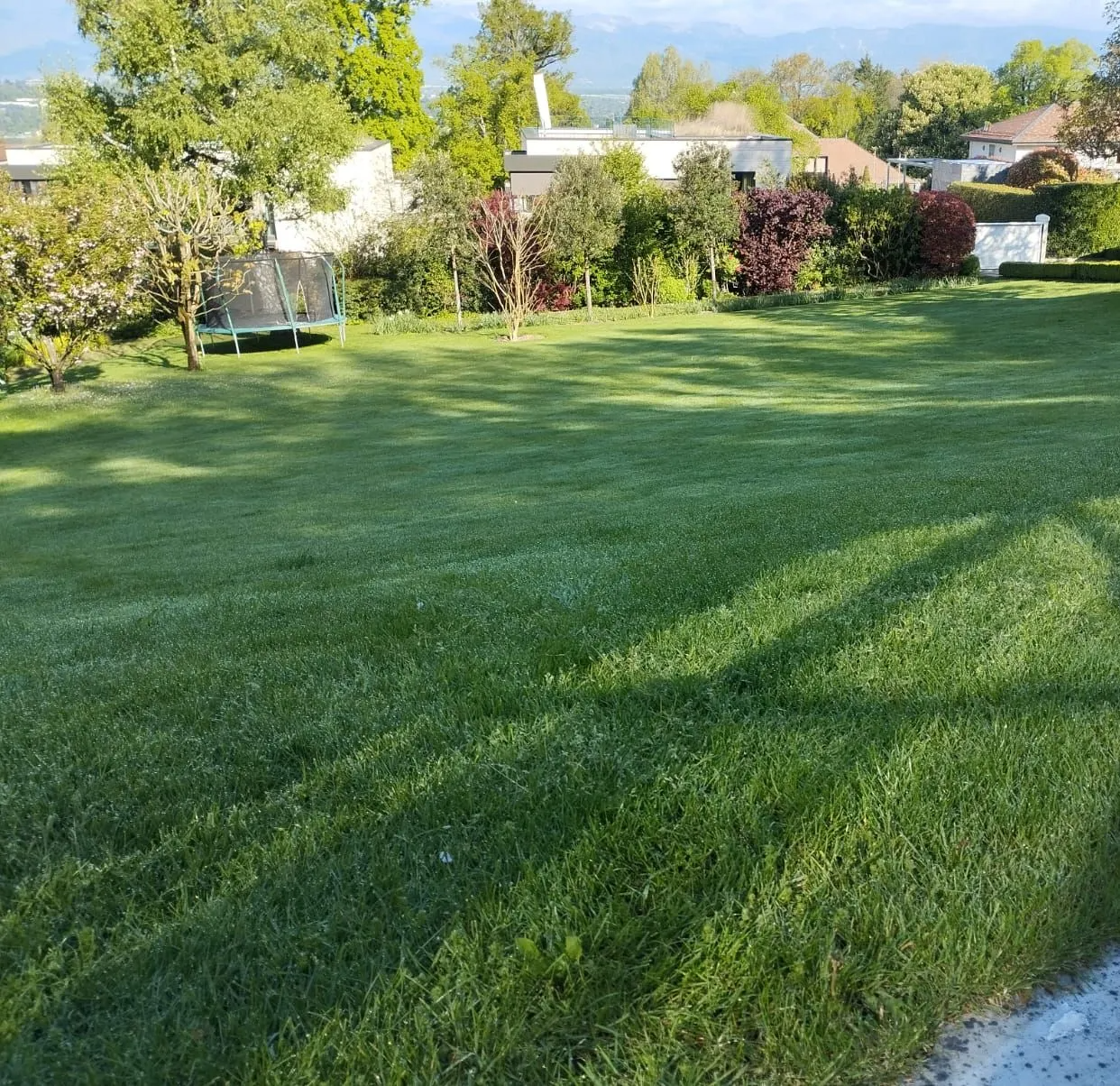 Une vaste pelouse verdoyante avec des arbres et des maisons en arrière-plan par une journée ensoleillée