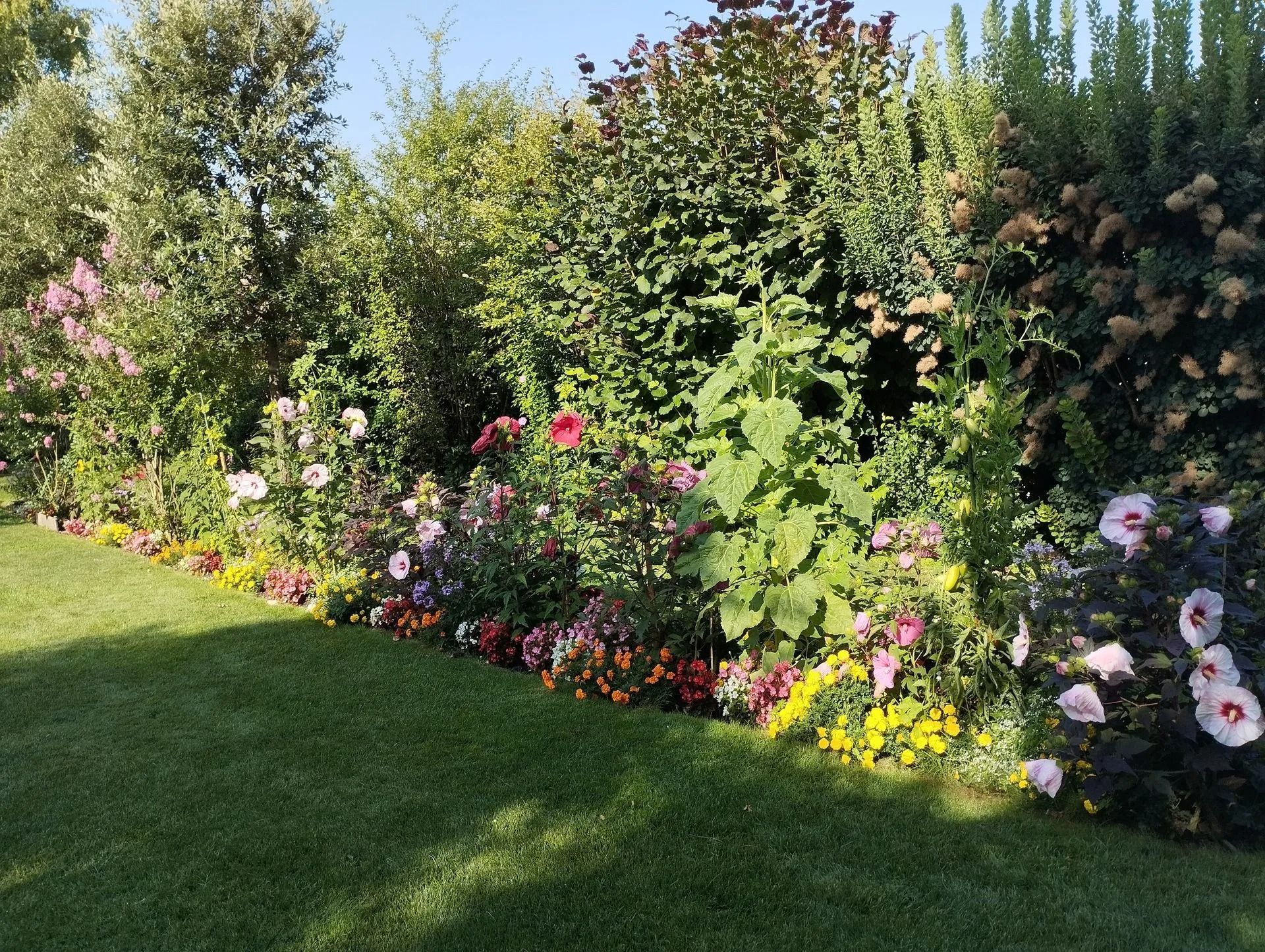 Bordure de fleurs colorées le long d'une pelouse verte dans un jardin ensoleillé agrémenté d'arbustes et de grands arbres