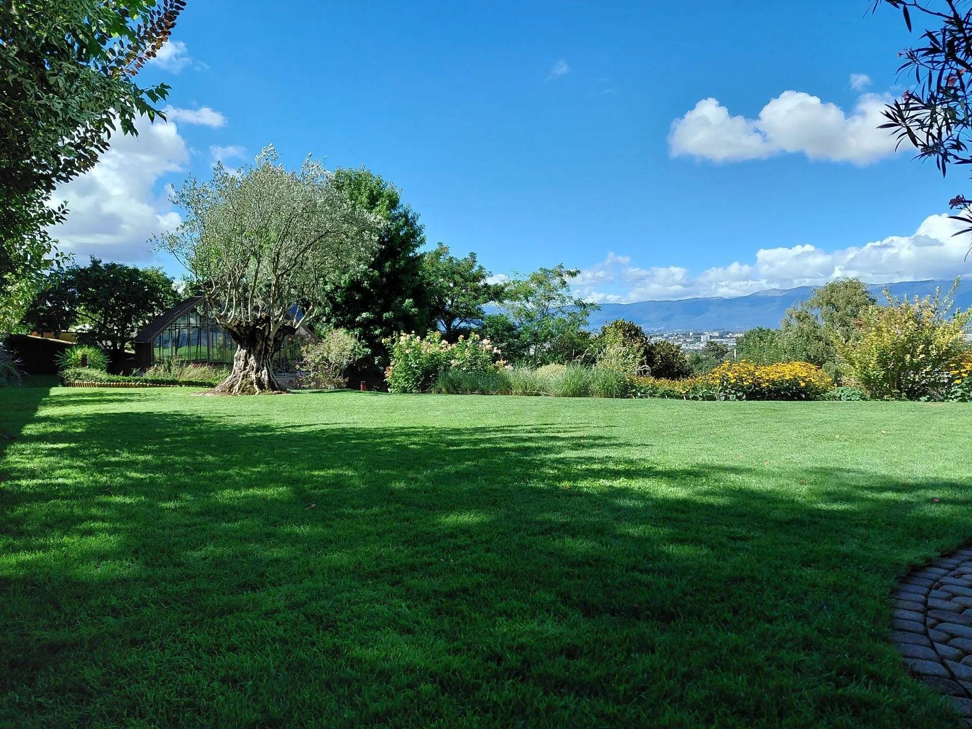 Pelouse ensoleillée d'un parc avec arbres, arbustes et ciel bleu parsemé de nuages