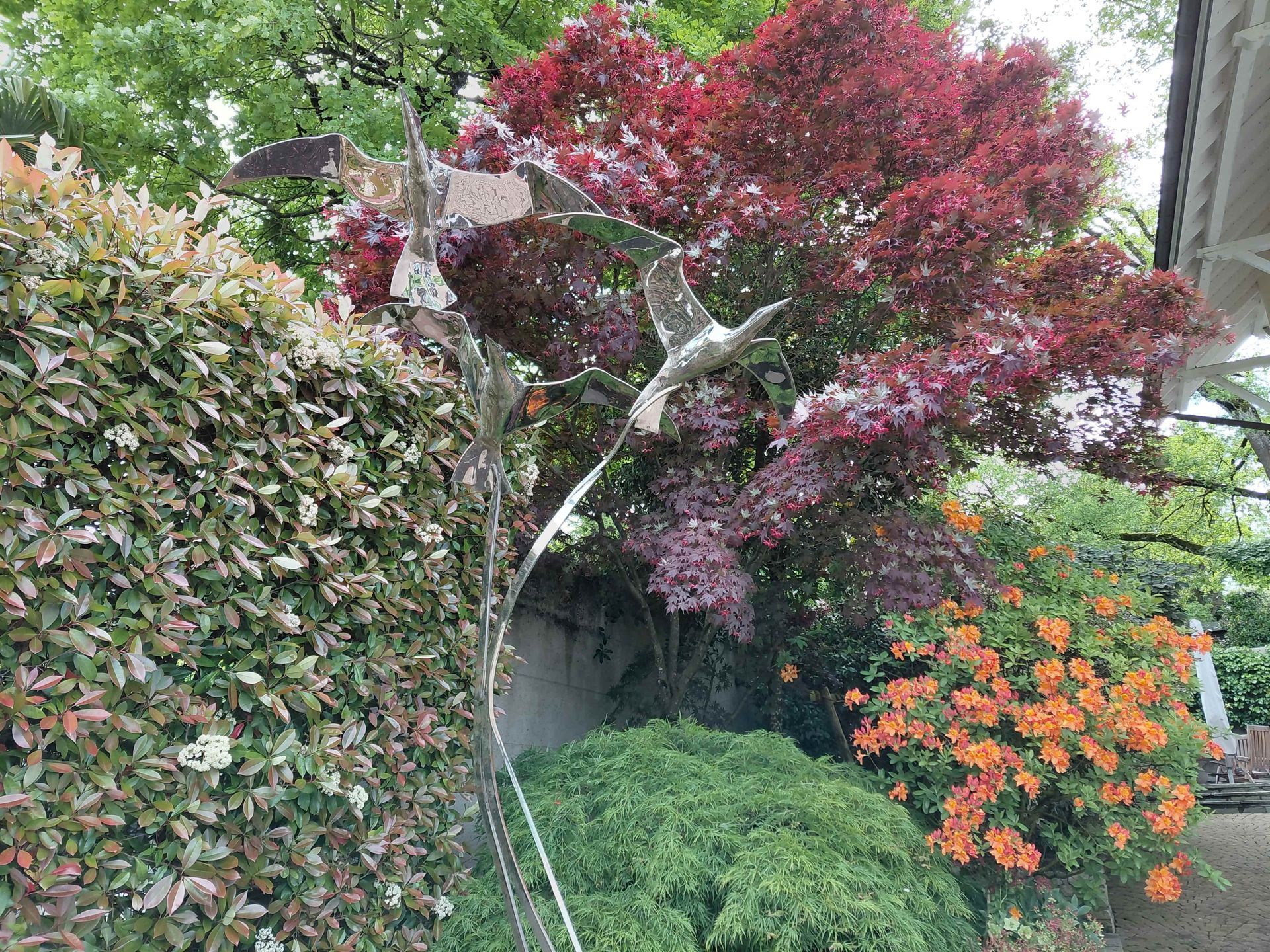 Jardin avec des arbustes verts denses, un arbre à feuilles rouges et des fleurs orange, le long d'un mur de pierre.