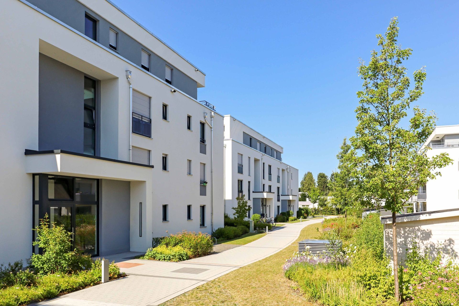 Schneider Plattenbeläge & Hauswartungen Birr