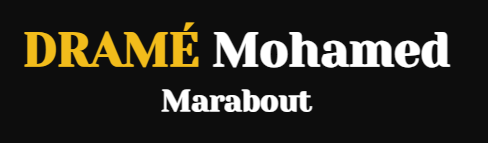 Logo DRAMÉ Mohamed