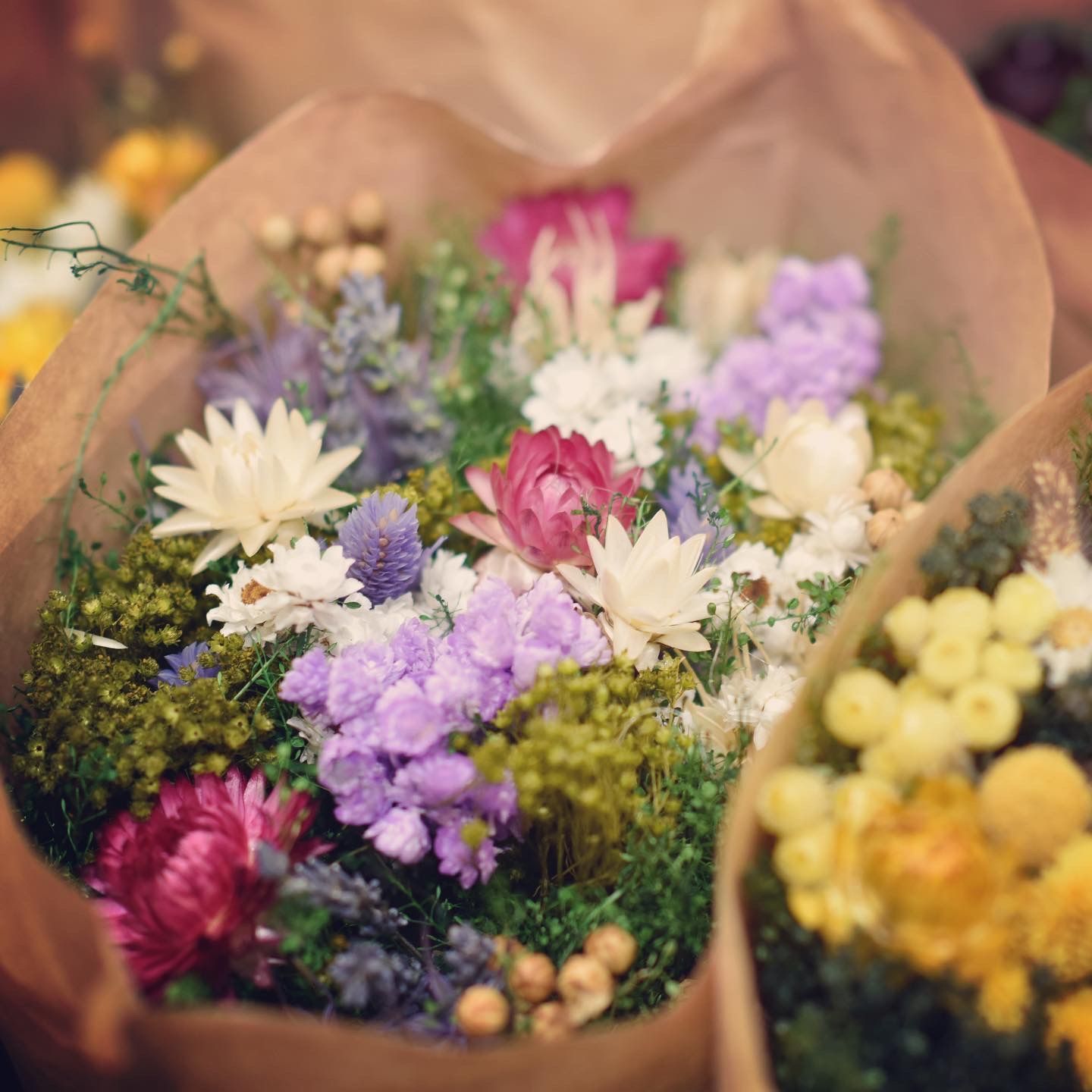 Belles fleurs séchées