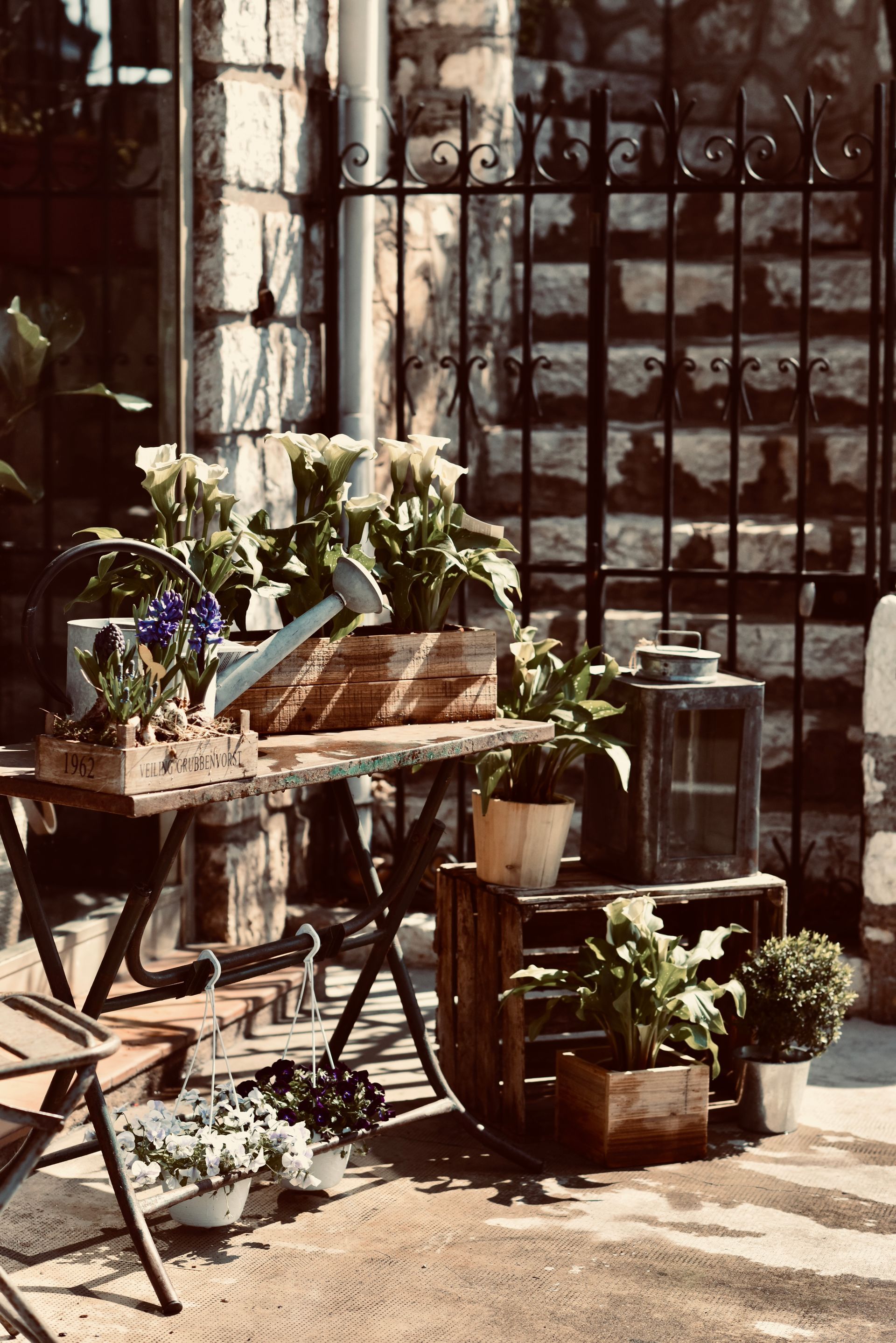 Nos plantes d'extérieur