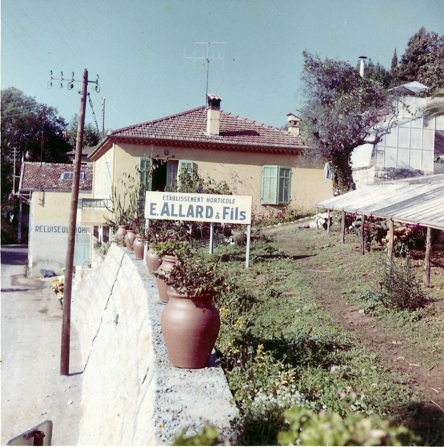 Etablissement horticole E. Allard & Fils