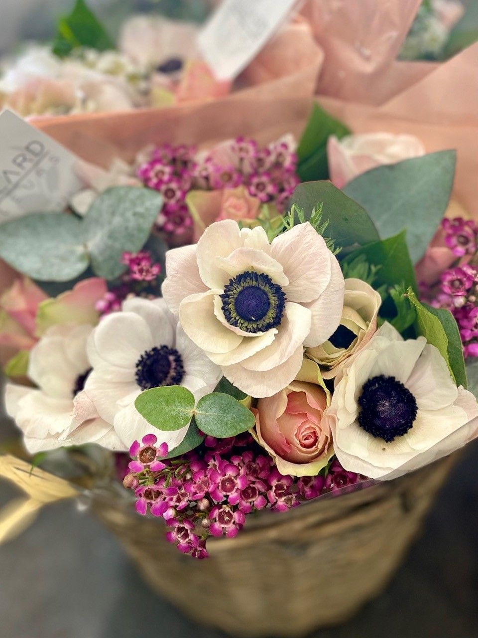 Fleurs blanches et roses