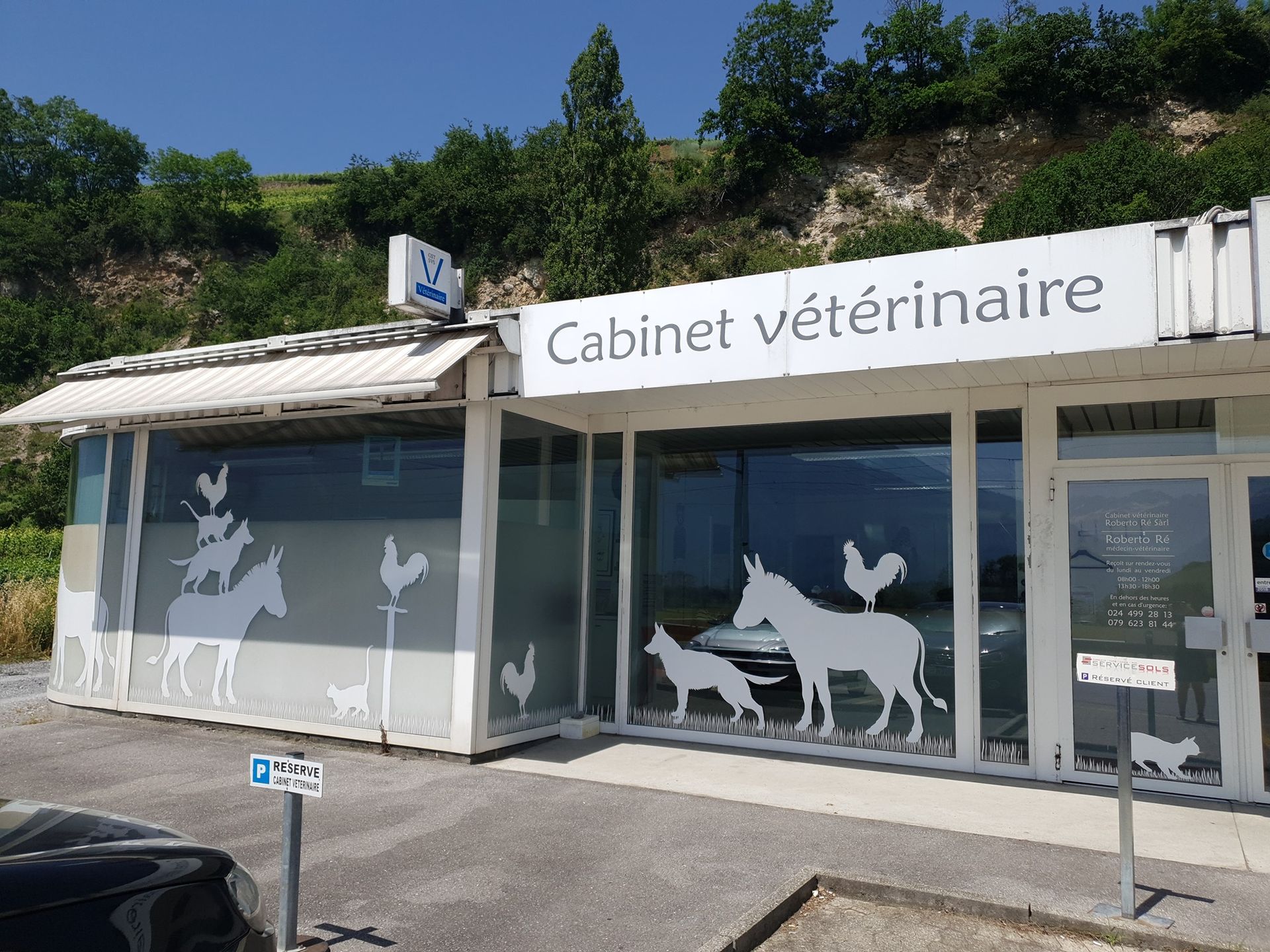 Soins vétérinaires Ollon vétérinaire Roberto Rè Sàrl