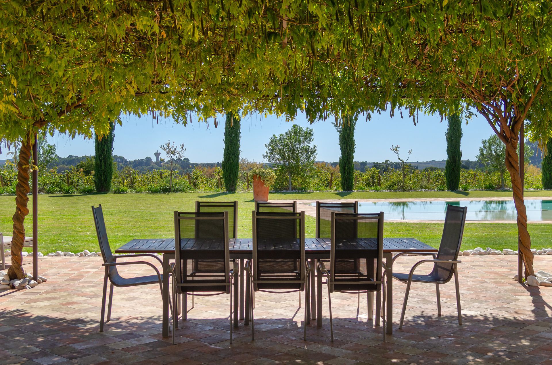 Table et chaises de salle à manger sous une canopée de feuillage, avec vue sur une piscine et un vignoble.