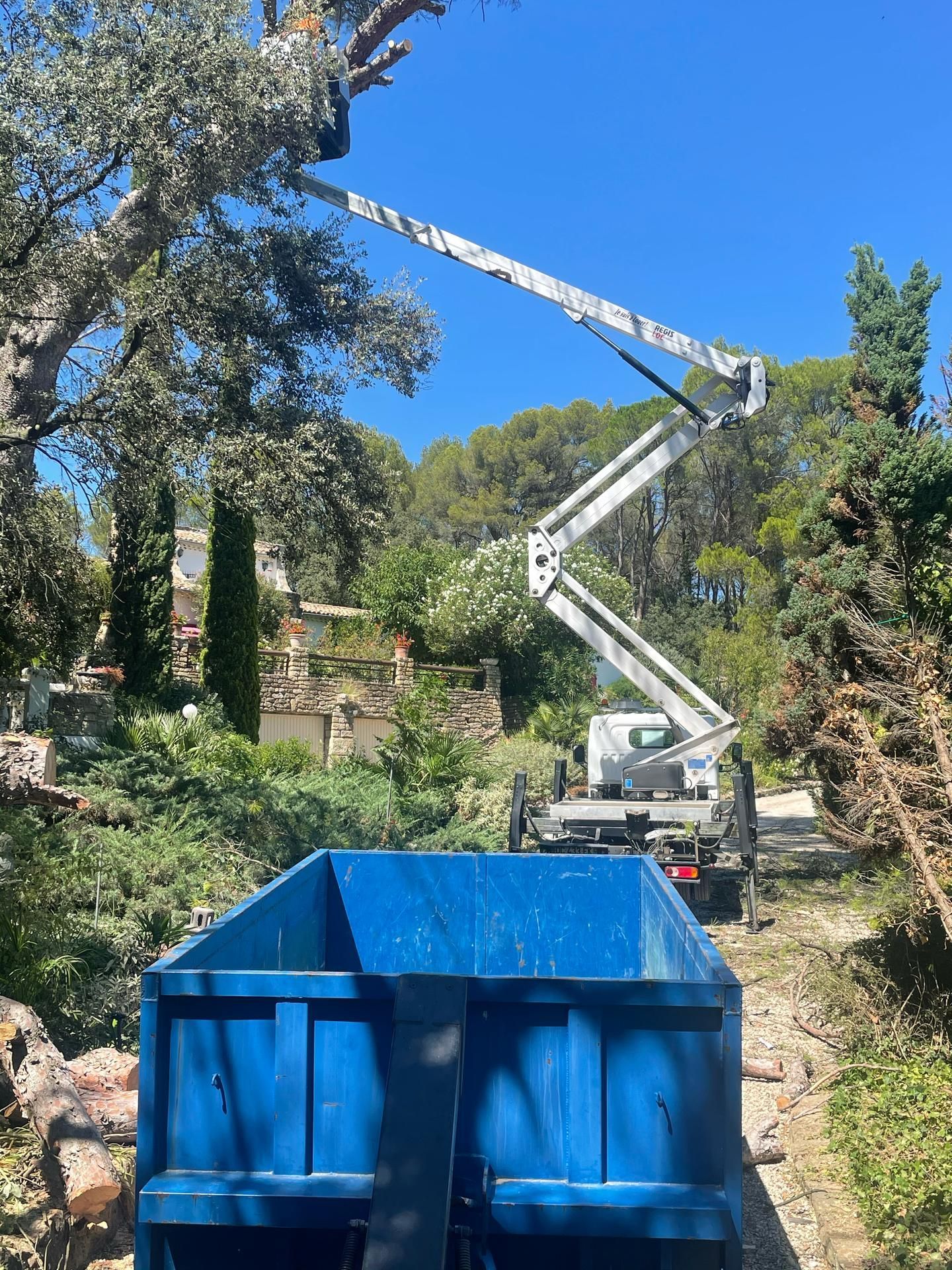 Élagage d'arbres avec un élévateur monté