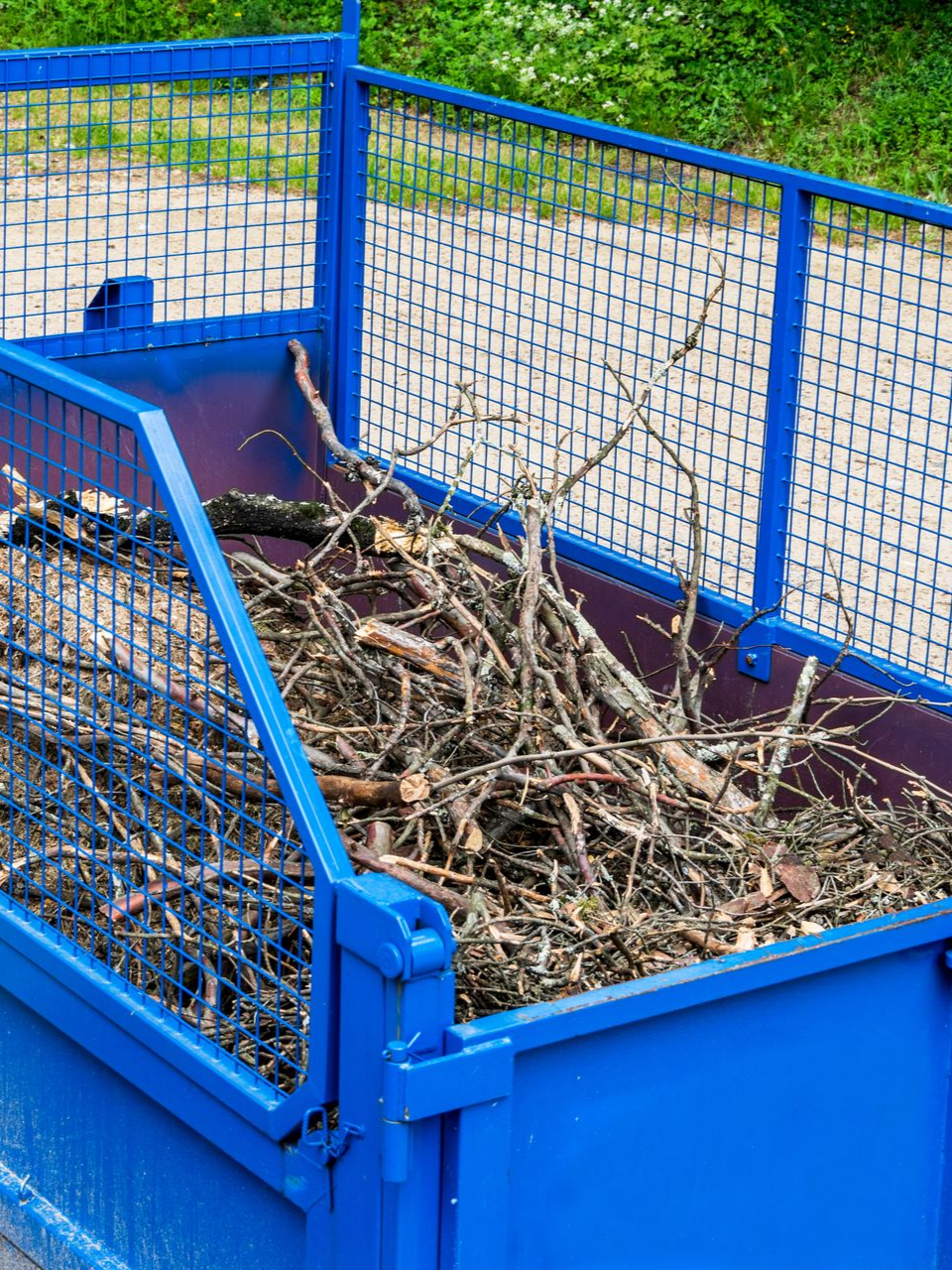 Bac en métal rempli de brindilles