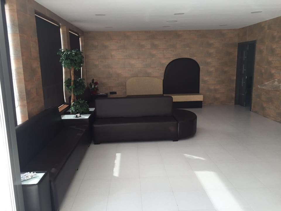 Una habitación con un sofá y una planta.