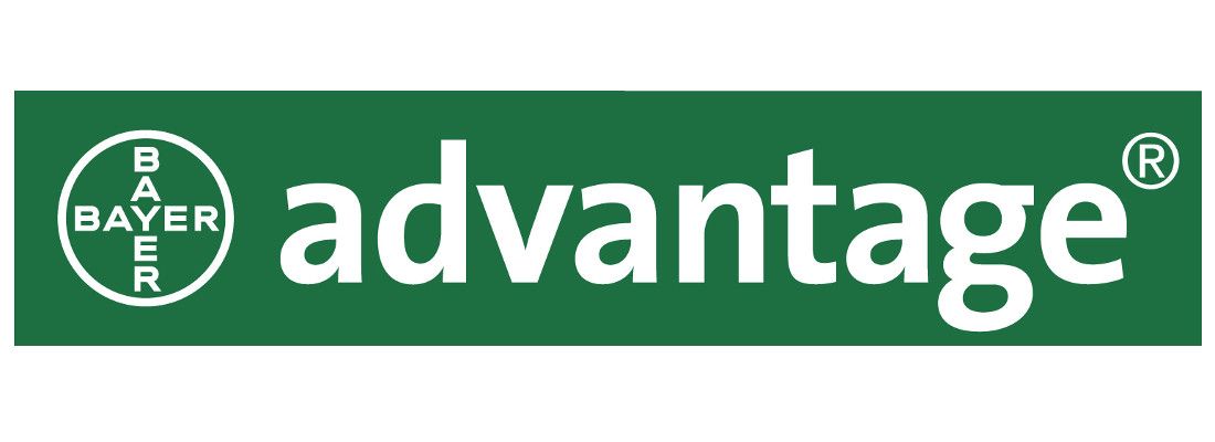 Logo Advantage