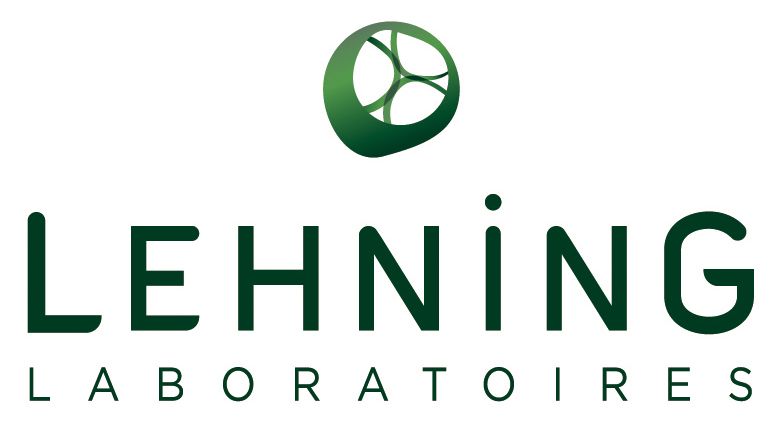 Logo Lehning