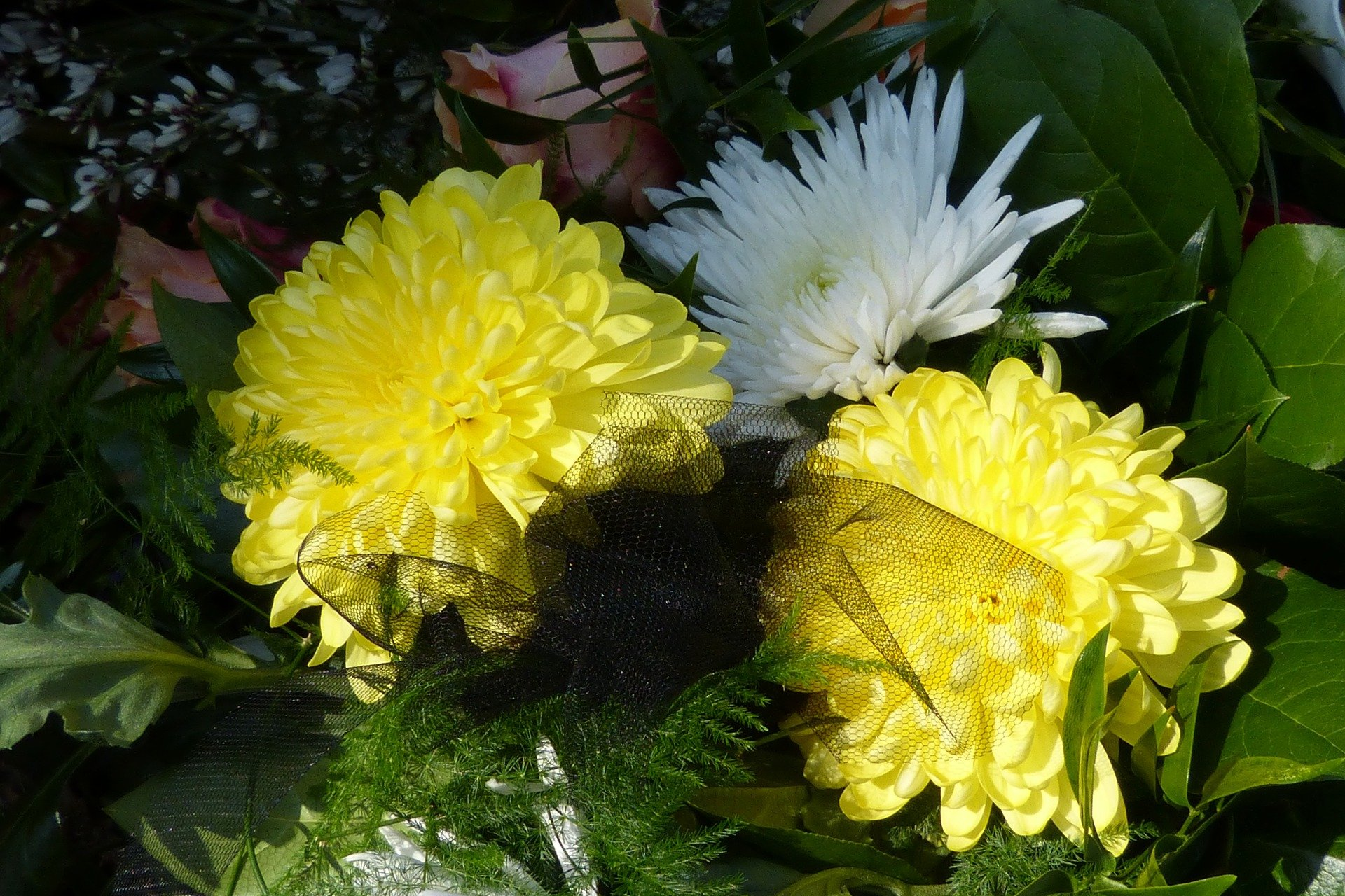 Bouquet de fleurs jaunes et blanches