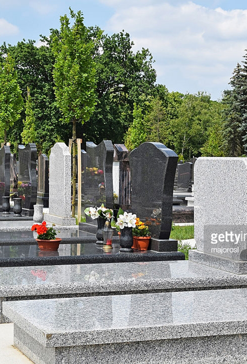 Cimetière avec pierres tombales, certaines fleuries, sous un ciel bleu, arbres en arrière-plan.