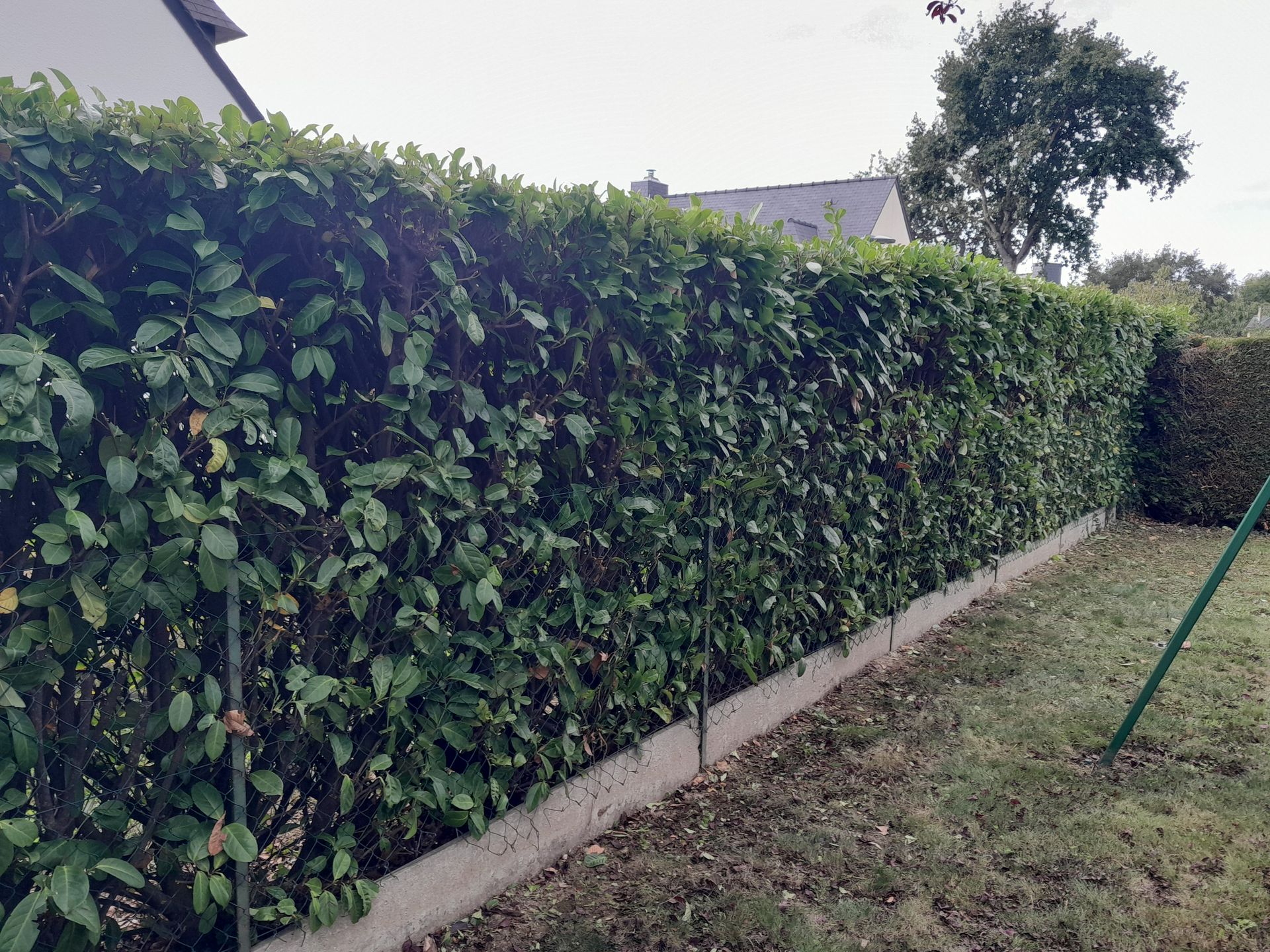 Charpentier mesurant et marquant le bois avec un ruban à mesurer et un crayon, portant des gants.