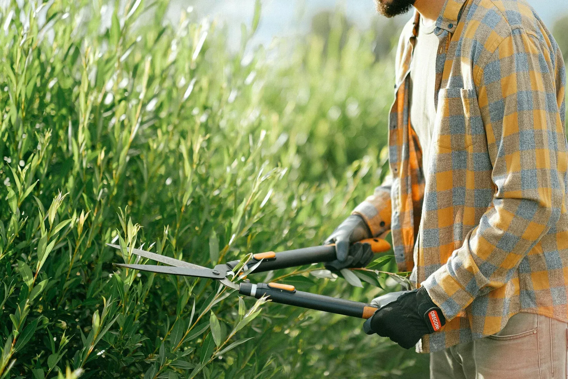 Un homme taille un buisson vert avec de gros sécateurs ; il porte des gants et une chemise à carreaux orange.