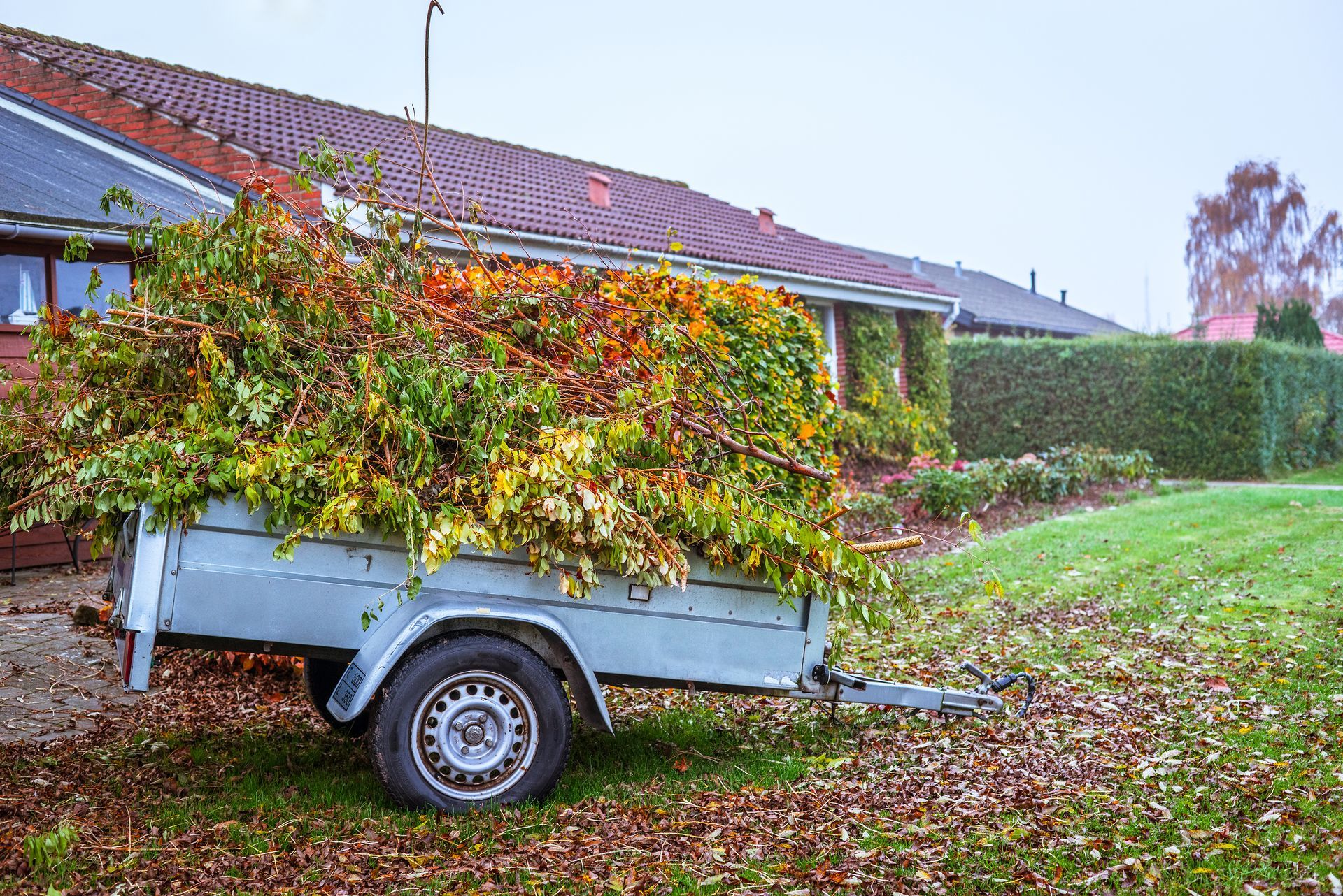 Une remorque grise remplie de branches et de feuilles colorées, garée sur l'herbe près d'une maison.