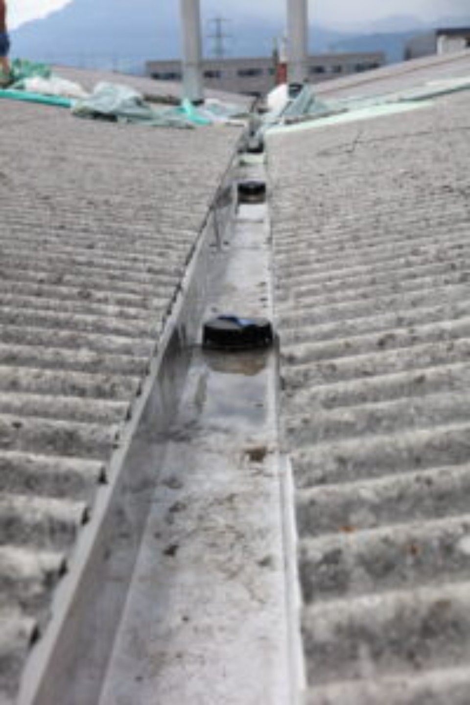 Dachrinne mit Ablagerungen und mehreren schwarzen Abflusskappen.