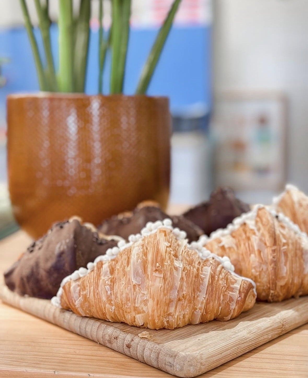 Croissants y pasteles en una bandeja de madera, con una planta en maceta al fondo.