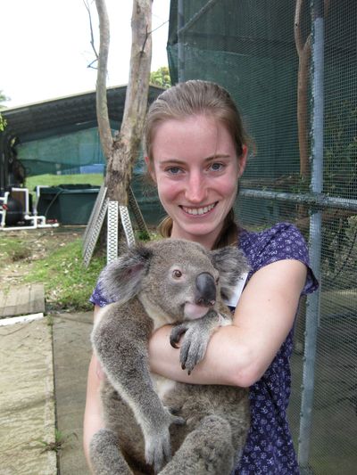 Photo du Dr vétérinaire Romeijer avec un Koala