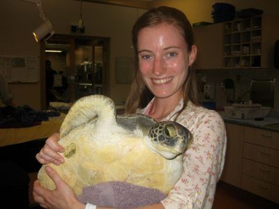 Photo du Dr vétérinaire Romeijer avec une tortue
