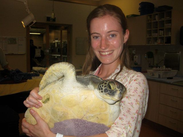 Photo du Dr vétérinaire Romeijer avec une tortue