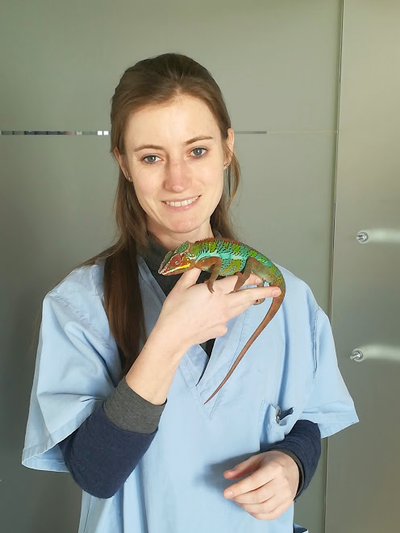 Photo du Dr vétérinaire Romeijer avec un lézard