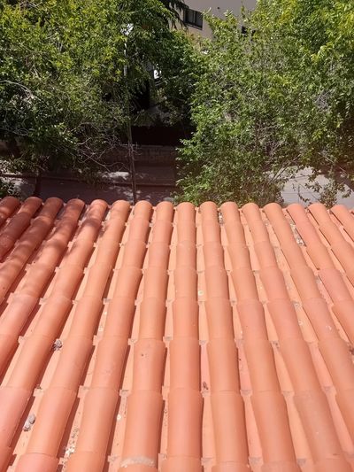 Una hilera de tejas rojas en un tejado con árboles al fondo